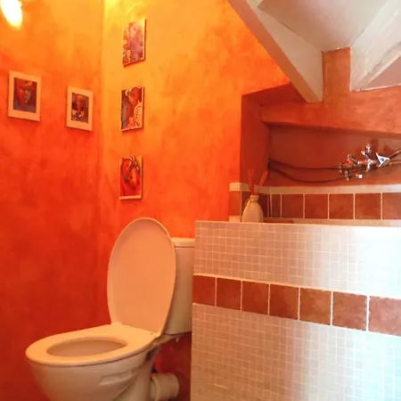 홈스테이 Chambres D'hotes La Mysterieuse Soulan (Hautes-Pyrenees)